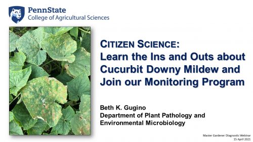 04.15.21 MG Diagnostic webinar - CDM title slide 04.15.21 MG Diagnostic webinar - CDM title slide